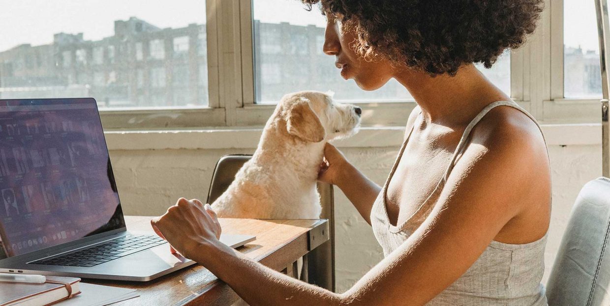 All You Need to Know About Using MailChimp with WordPress