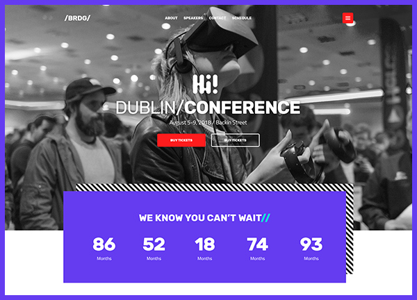 IT conference Bridge Theme Demo