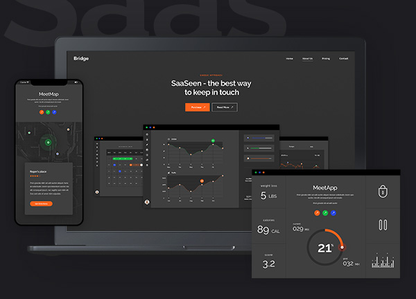SaaS Bridge Theme Demo