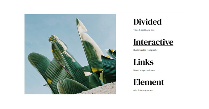 Qi Blocks for Gutenberg